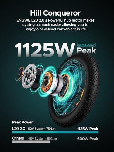 Electric Bike 20'' Fat Tire 52V 13Ah 7 Speed Dual Suspension D2940