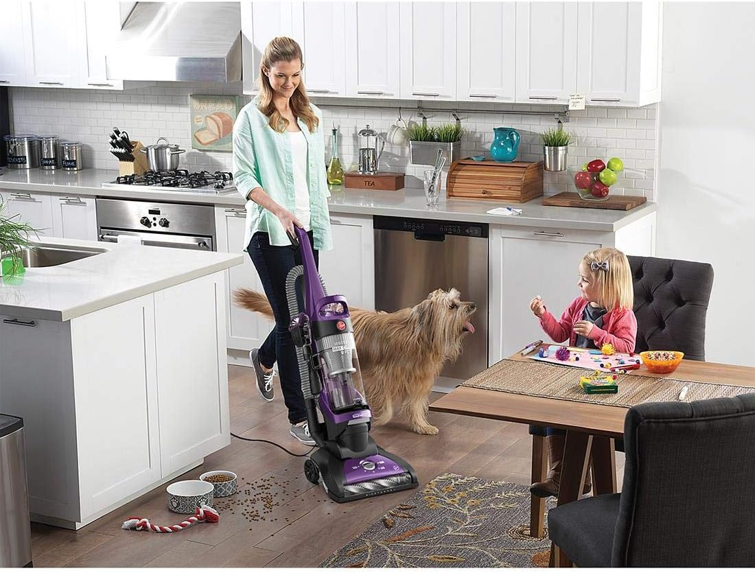 High Capacity Pet Upright Vacuum L4043