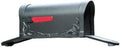Floral Curbside Mailbox with Two Doors V4725