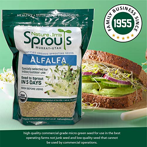 100% Organic Wheatgrass Seeds for Sprouting Q260