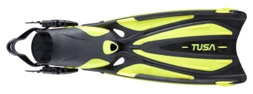 Small Blue Fins P5131