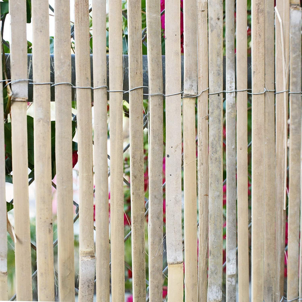 Natural Split Rolled Bamboo Fence Panel 4 ft H x 6 ft L M255176