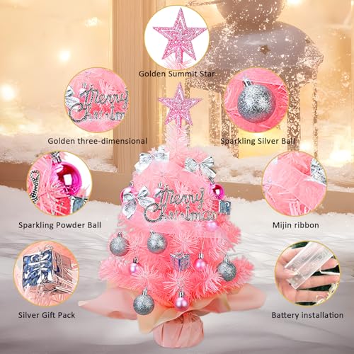 24 Inch Prelit Artificial Christmas Tree with 50 LED Lights N77416