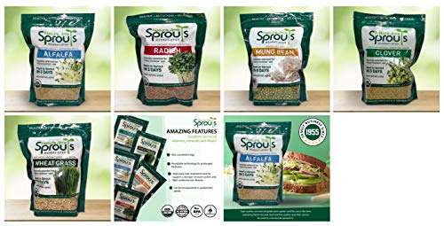 100% Organic Wheatgrass Seeds for Sprouting Q260