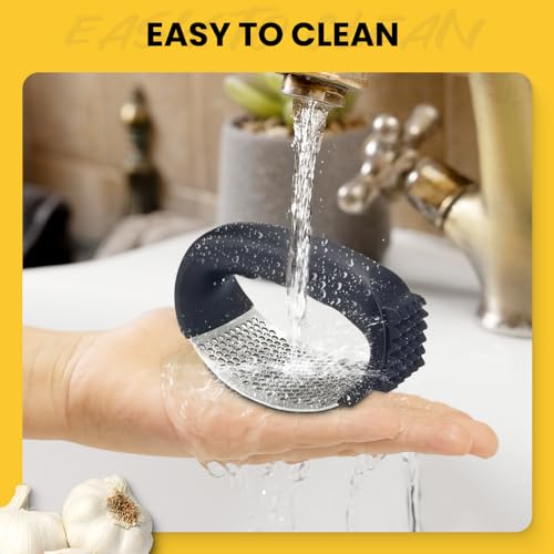 Stainless Steel Garlic Press Rocker with Peeler and Cleaning Brush C68912