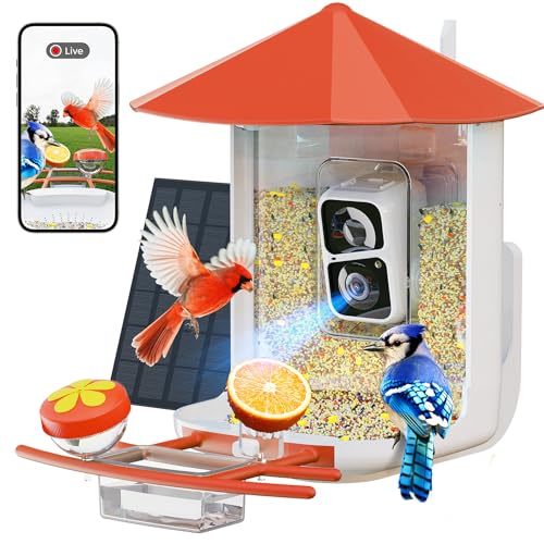 Bird Feeder with Camera L39050