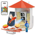 Bird Feeder with Camera L39050