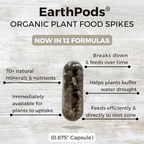 Organic Succulent Plant Food Spikes 100 Concentrated Capsules L5112