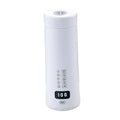 500ml Portable Electric Kettle G812