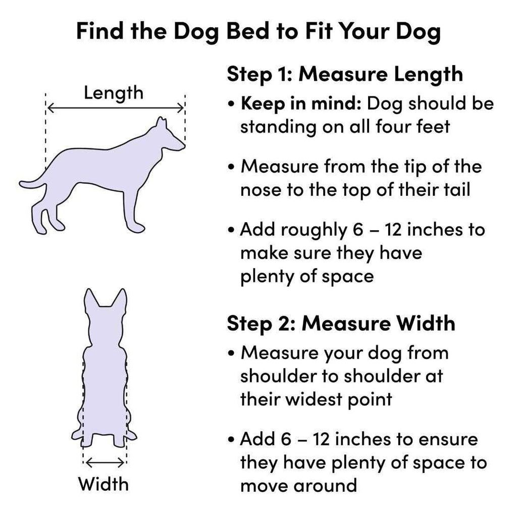 Dog Sofa G209693