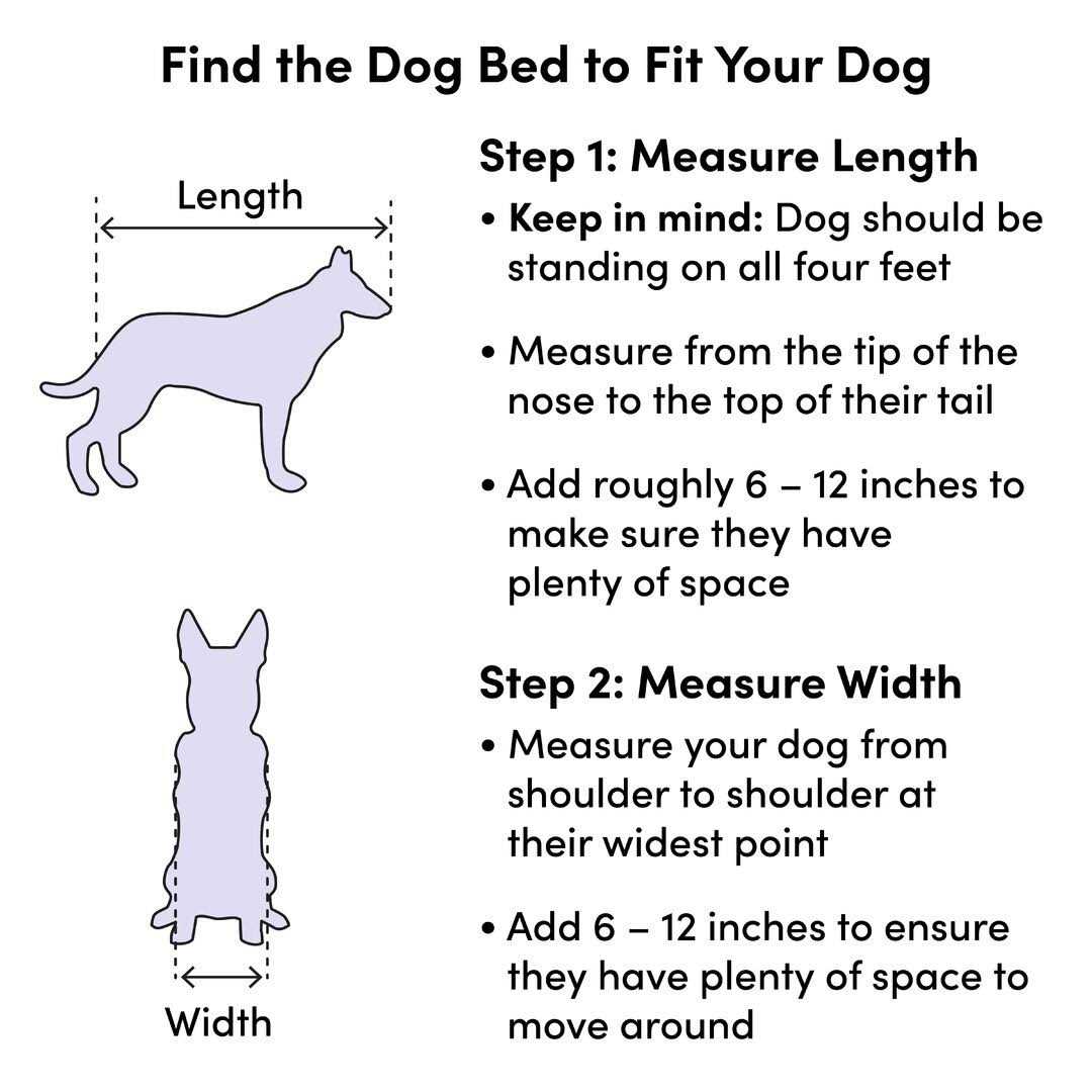 Dog Sofa G209693