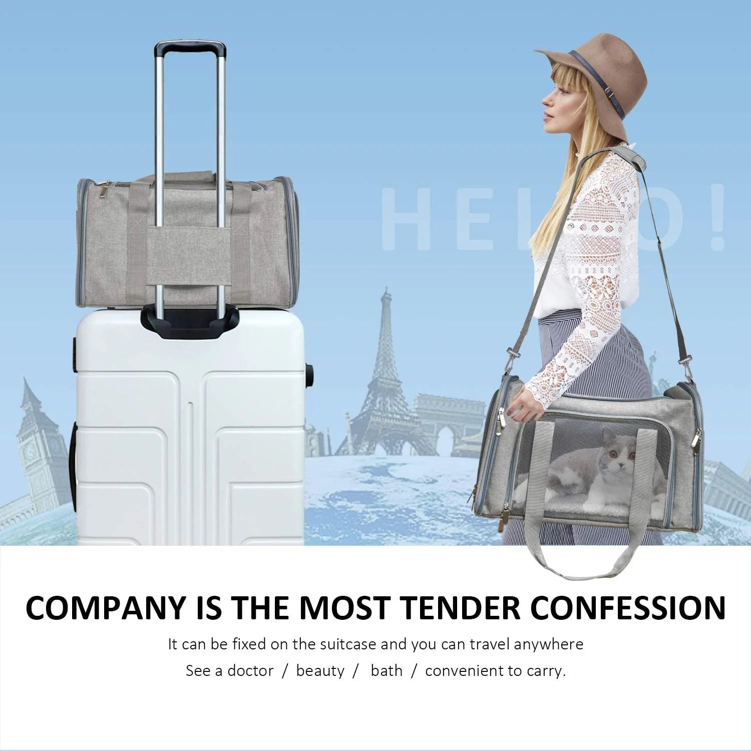 Grey Soft Sided Pet Carrier S7732