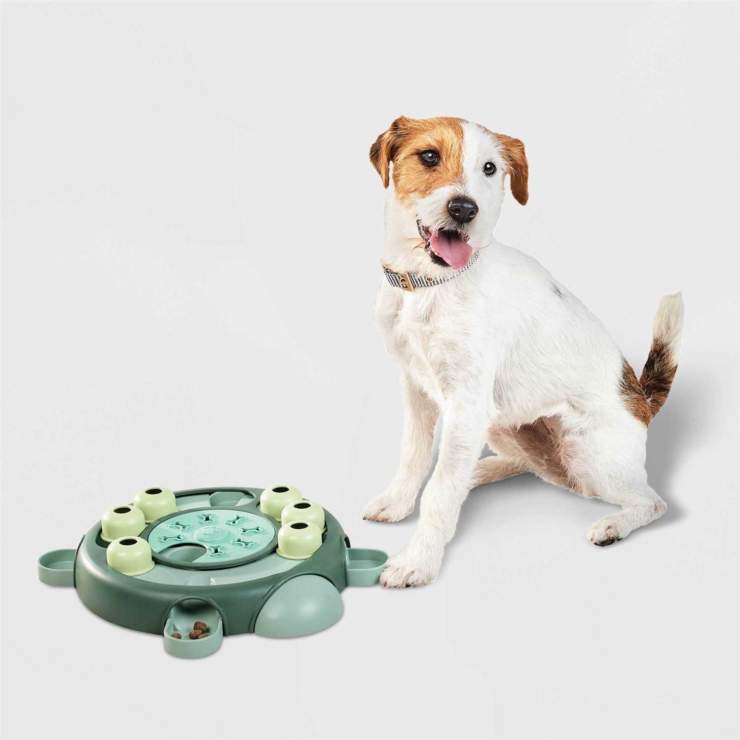 Turtle Puzzle Dog Toy D86637