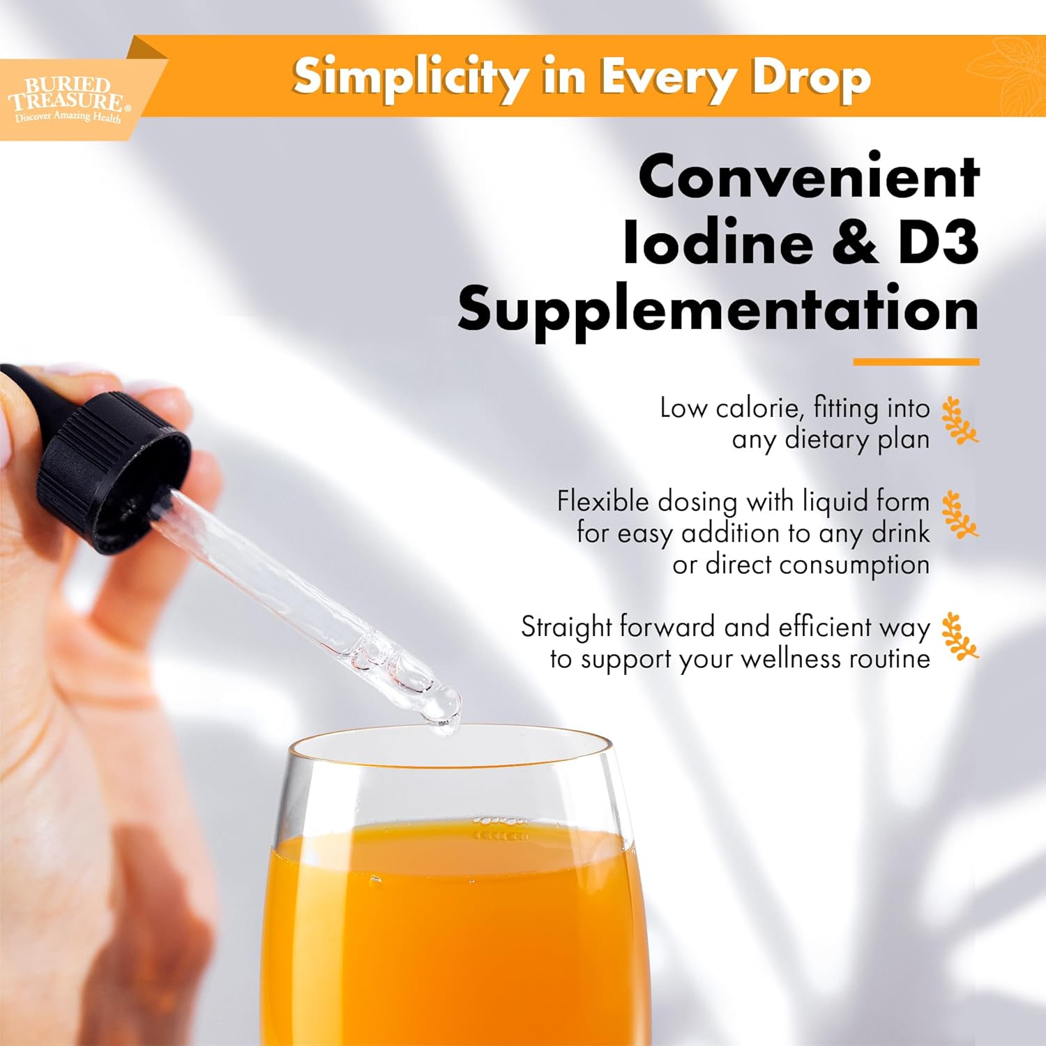 2 fl oz Iodine Drops with Kelp T67954