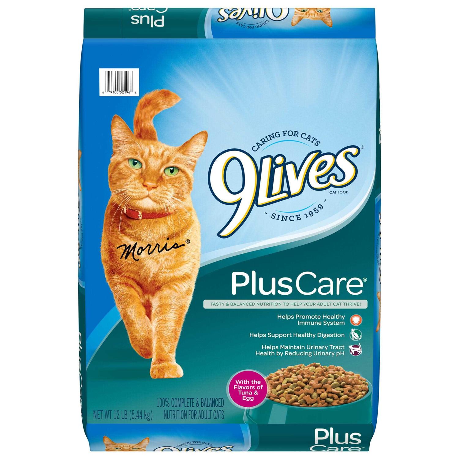 9Lives Plus Care Dry Cat Food K487033