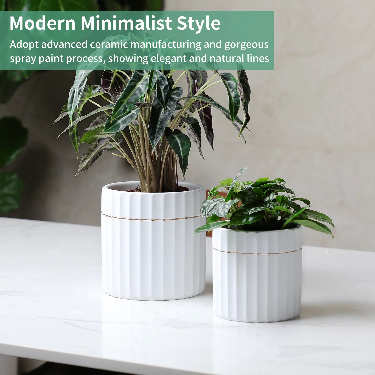 2 Pack White Ceramic Plant Pots with Drainage Hole X404