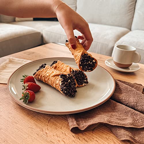 Set of 6 10 inch Ceramic Matte Dinner Plates Y9429