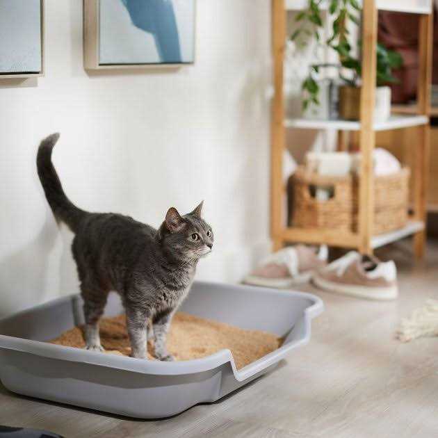 Catalyst Cat Litter Soft Wood U410558