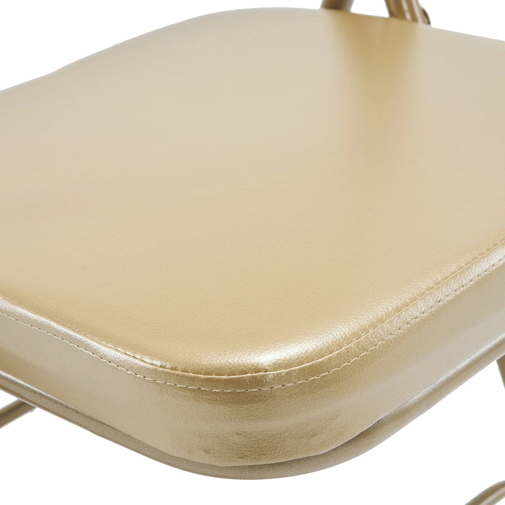 2 Pack Metal Folding Chairs with Padded Seat and Back O1243