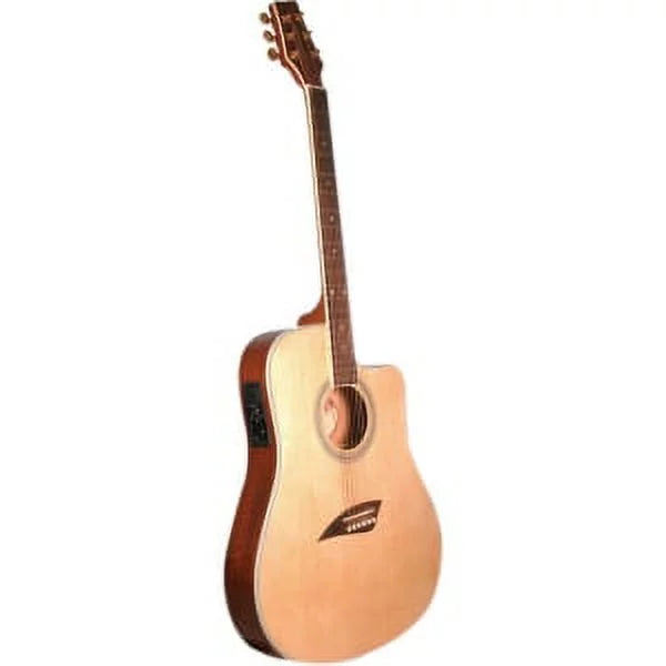 Thin Body Acoustic/Electric Guitar E6620