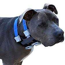 Pet Training Collar E49668