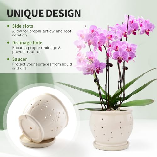 6.3" Ceramic Orchid Pots with Holes Crackle Glazed with Drainage and Separate Saucer White N7950