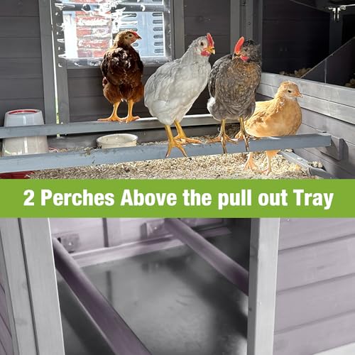 Chicken Coop with Nesting Box Waterproof Duck Coop G79602