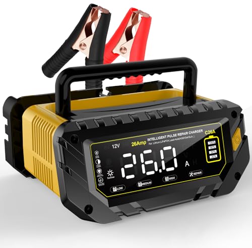 12V 24V 16-Amp Smart Battery Charger K84221