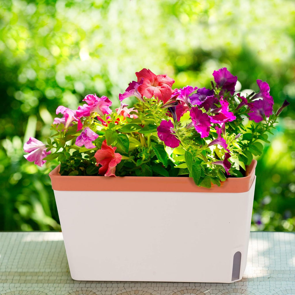 Self-Watering Rectangular Window Herb Planter Box Set of 3 V695