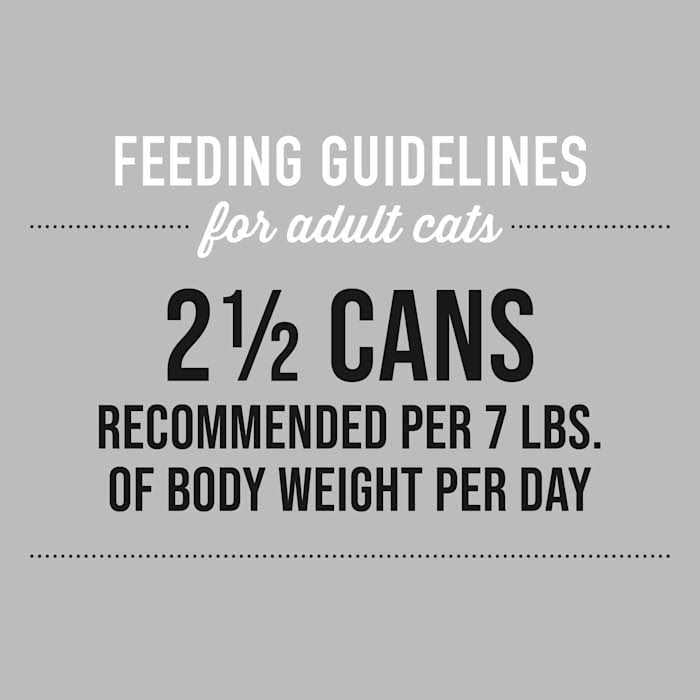 Tiki Cat Silver Chicken Seniors Wet Cat Food M299500
