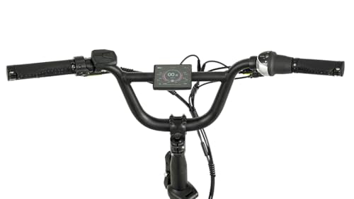 500W Lightweight Folding Ebike with 20'' x 3.0'' Tire G8182