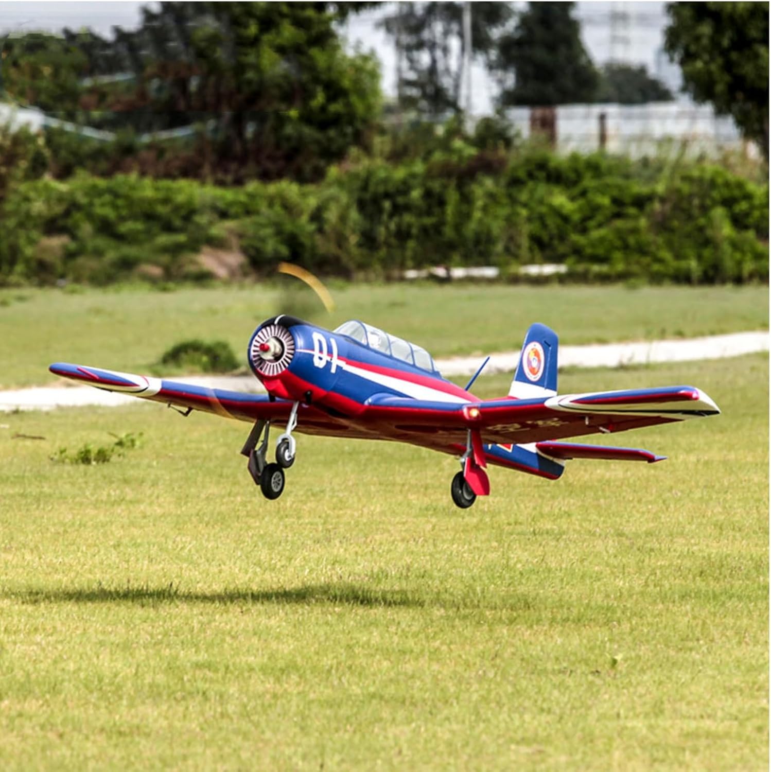 1200MM 6 Channel Remote Control Airplane PNP T59567