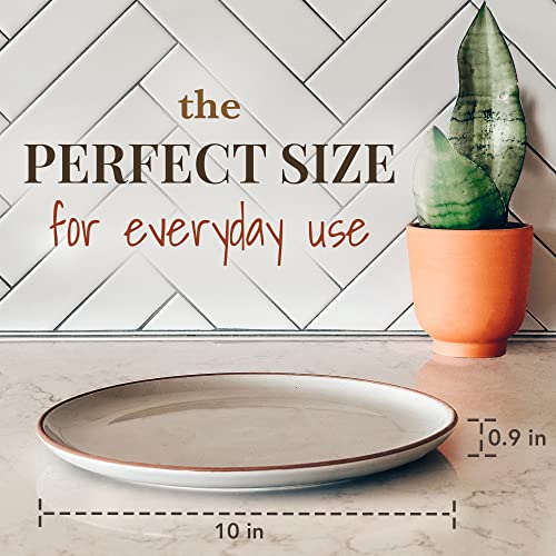 Set of 6 10 inch Ceramic Matte Dinner Plates Y9429