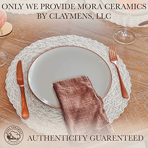 Set of 6 10 inch Ceramic Matte Dinner Plates Y9429