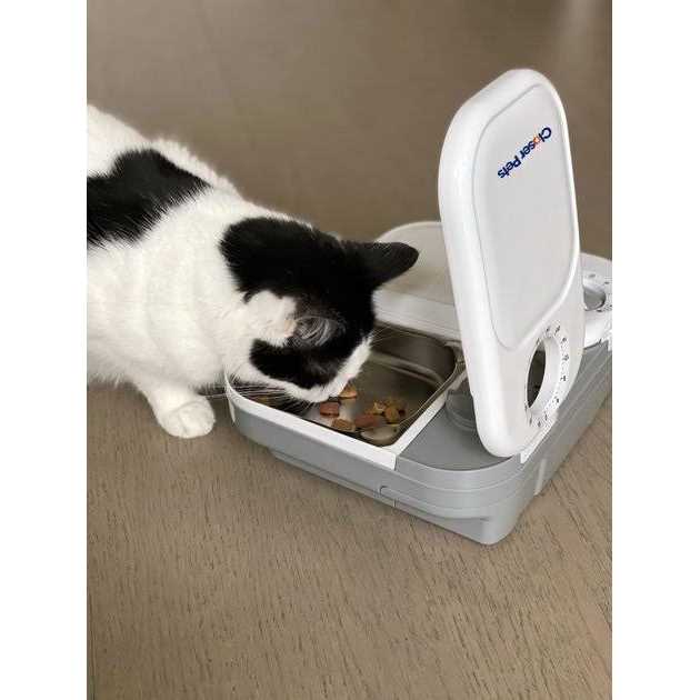 Automatic Pet Feeder with Stainless Steel Bowl Inserts H9357