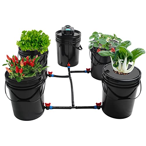 5 Gallon Deep Water Culture Hydroponic System Q422