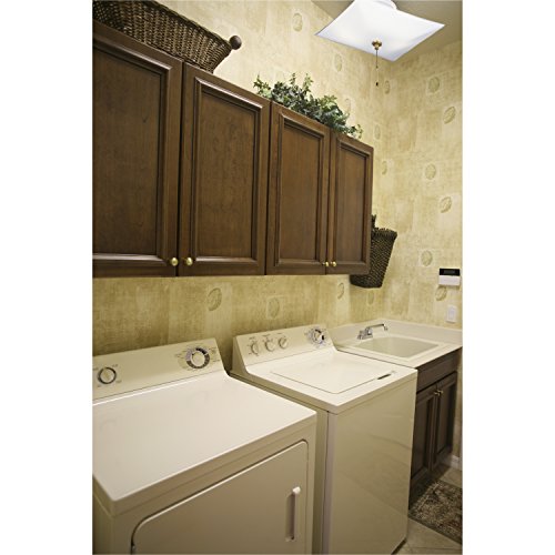 Two-Light Semi-Flush-Mount Ceiling Fixture with Pull Chain, White Finish with White Glass F868