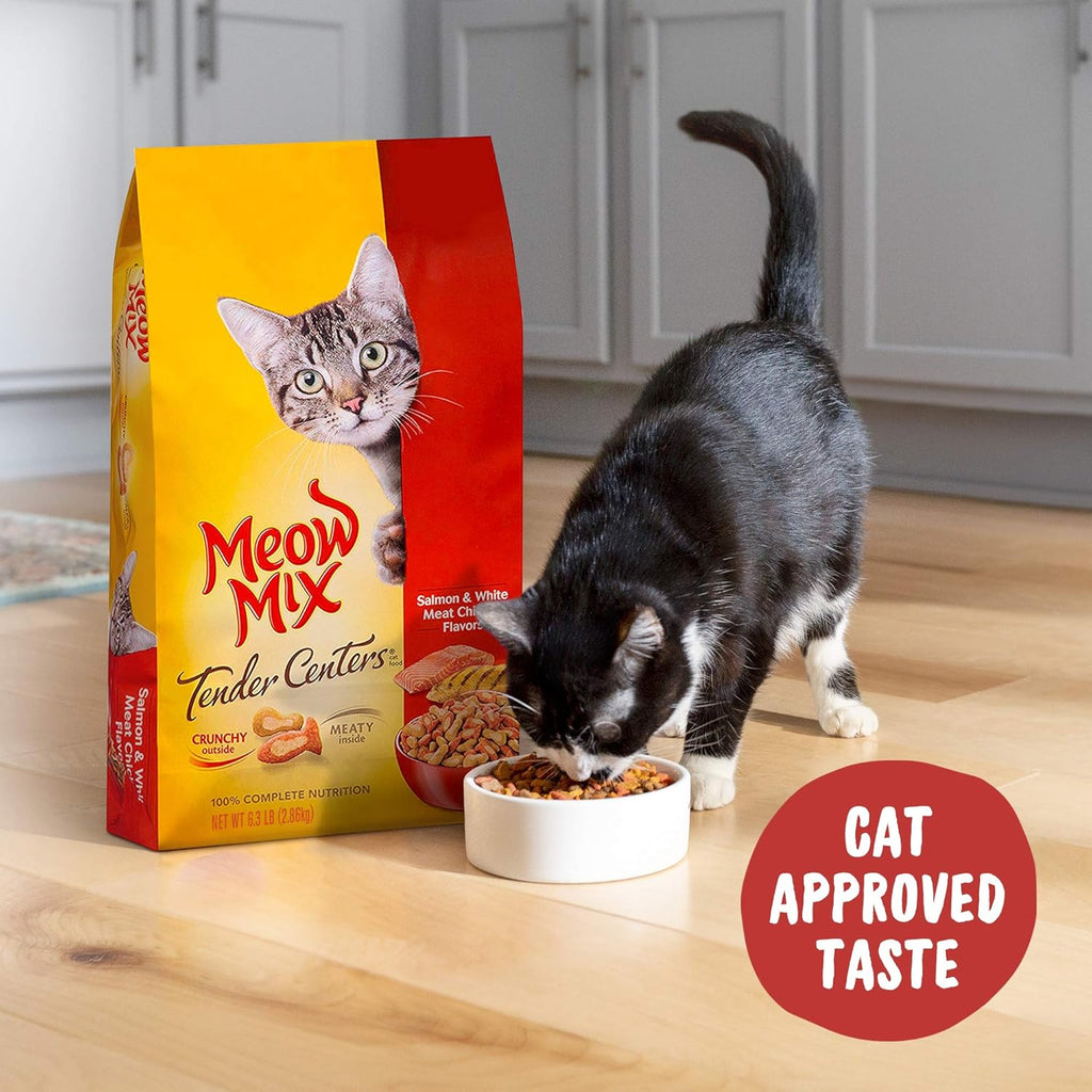 Salmon & Chicken Dry Cat Food, 3 Pound L61250