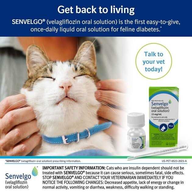 Senvelgo Oral Solution for Cats 15mg/ml V15476