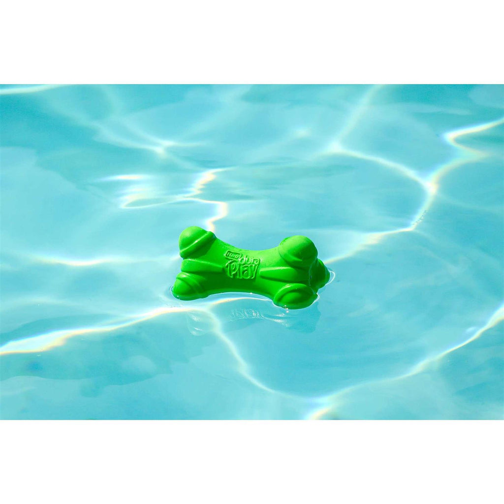Squeaky Latex Dog Toy M333