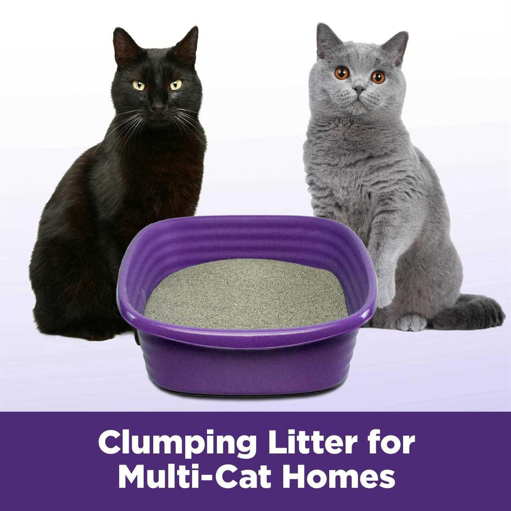 Slide Easy Clean-Up Clumping Cat Litter X278191