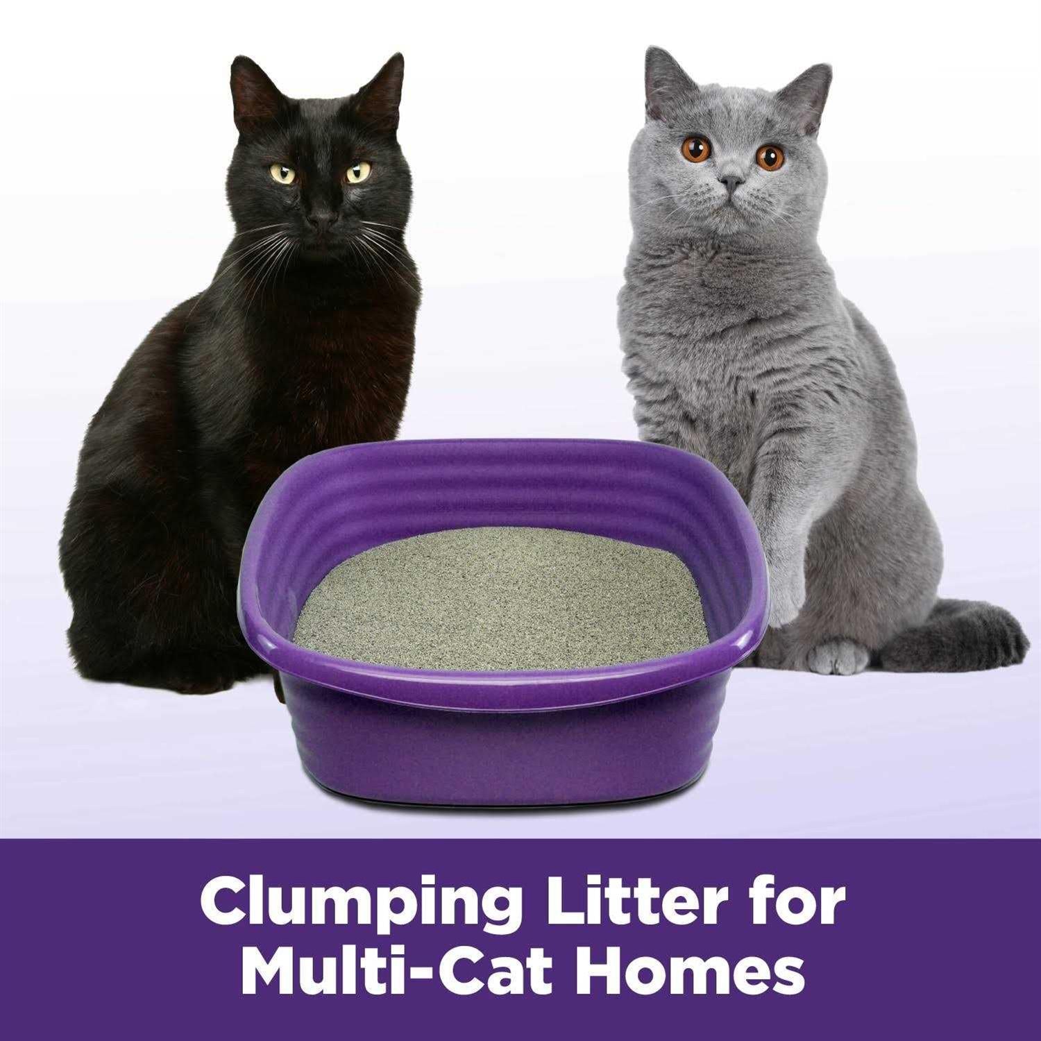 Slide Easy Clean-Up Clumping Cat Litter X278191