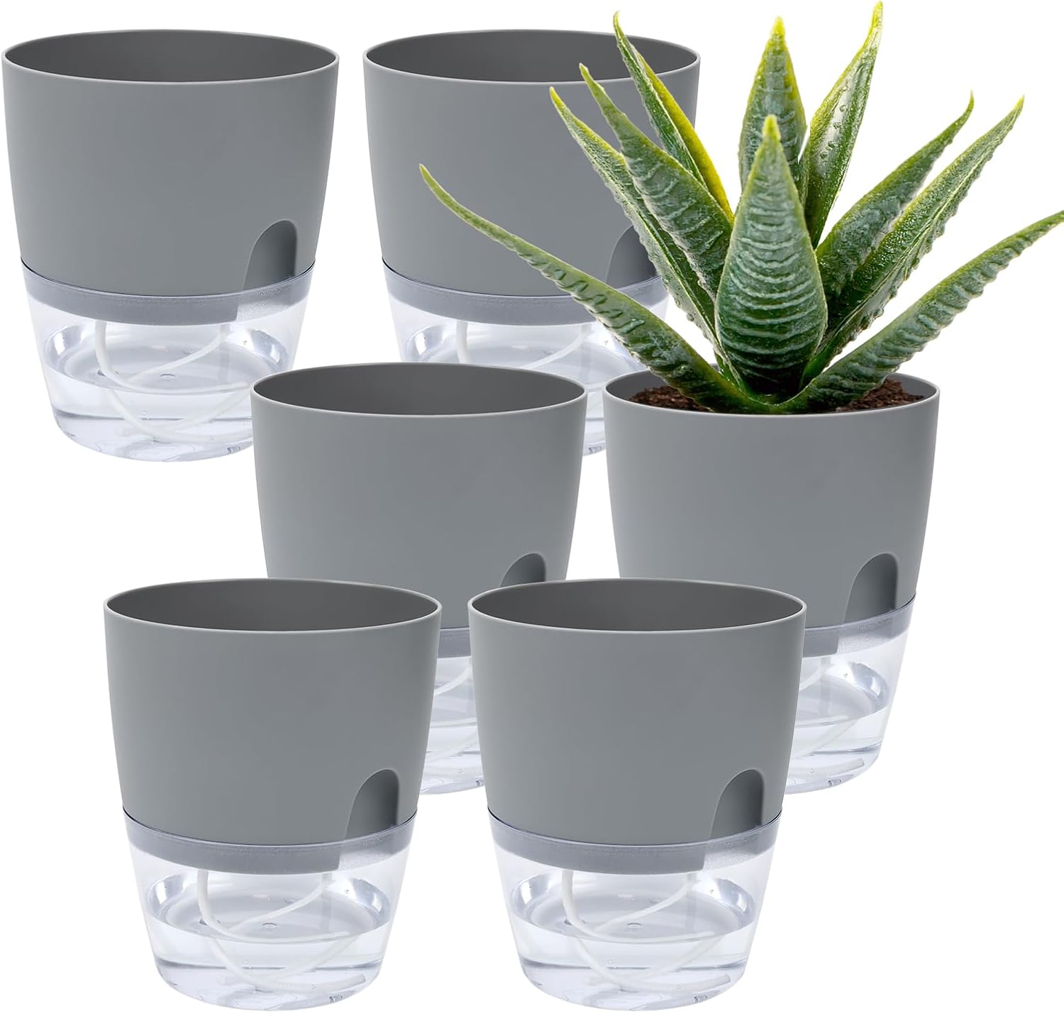 6 Pack Grey Plastic Self Watering Plant Pot G10105