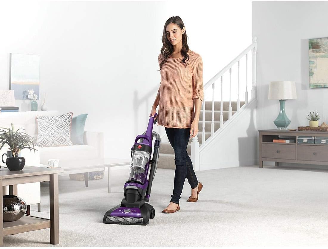 High Capacity Pet Upright Vacuum L4043