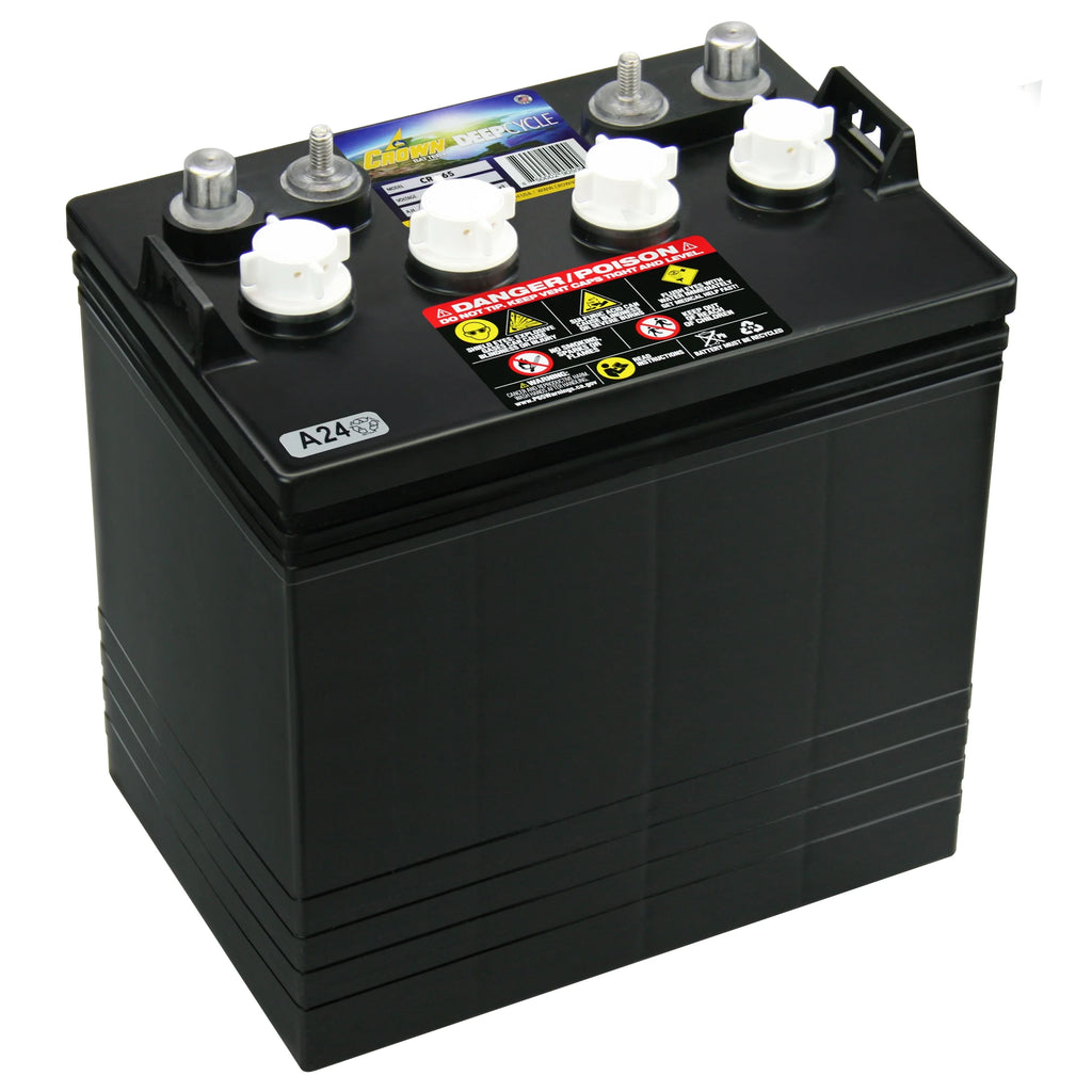 8V Deep-Cycle Flooded Battery S8061