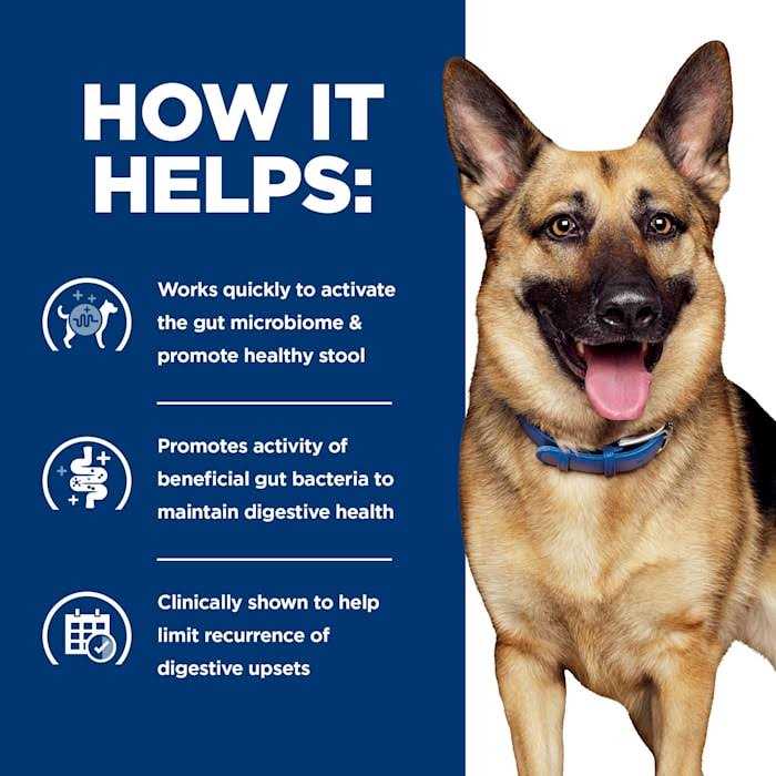 Gastrointestinal Biome Chicken & Vegetable Stew Wet Dog Food I868