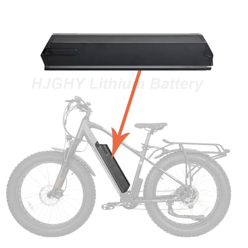 48 Volt 18Ah 25Ah Electric Bike Lithium Ion Battery R2368