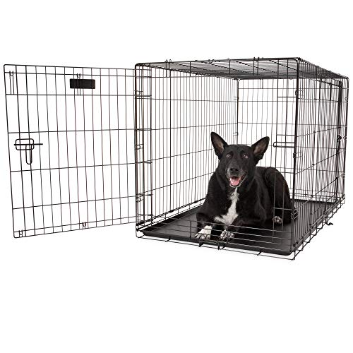 48 Inch Wire Dog Crate N89295