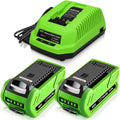 2-Pack 40 Volt 6.0Ah Lithium ion Battery and Charger G418
