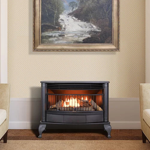 25,000 BTU Dual Fuel Stove C87881